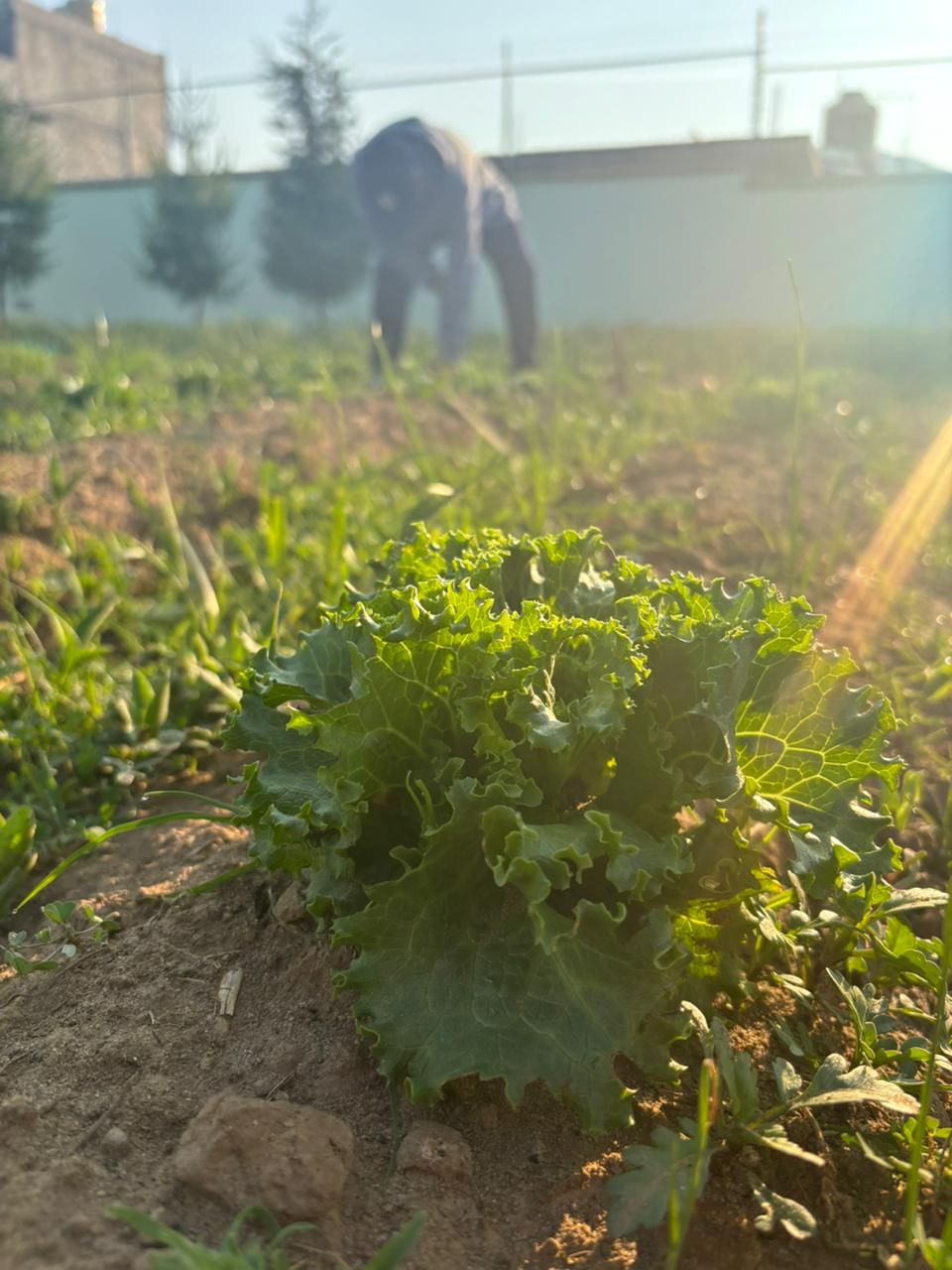 Esta es una descripcion alternativa de la imagen para cuando no se pueda mostrar